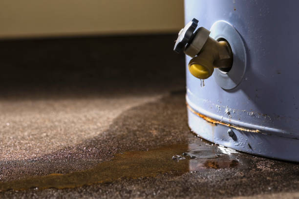 Best Emergency water damage restoration  in Carleton, MI