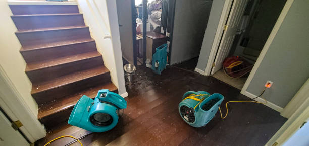 Best Local water damage restoration  in Carleton, MI