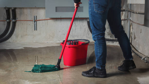 Best Carpet water damage restoration  in Carleton, MI