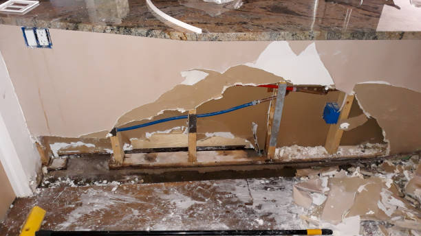 Best Water damage restoration near me  in Carleton, MI