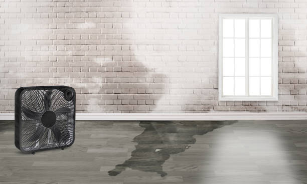 Best 24-hour water damage restoration  in Carleton, MI