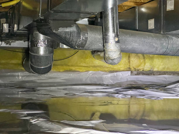 Best Basement water damage restoration  in Carleton, MI