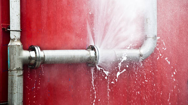 Best Water damage contractors near me  in Carleton, MI